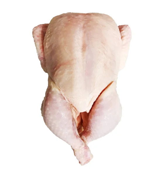 Beyaz Arkaplanda Çiğ Tavuk Izole — Stok fotoğraf