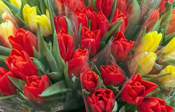 Close Van Rode Tulpen Achtergrond — Stockfoto