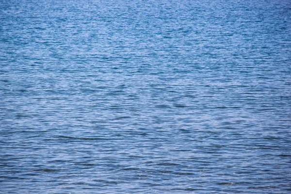 Colpo Pieno Della Struttura Del Mare — Foto Stock