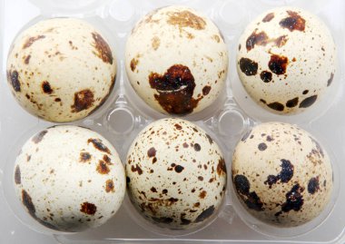 Paketteki Taze Bıldırcın Yumurtalarının Resmi