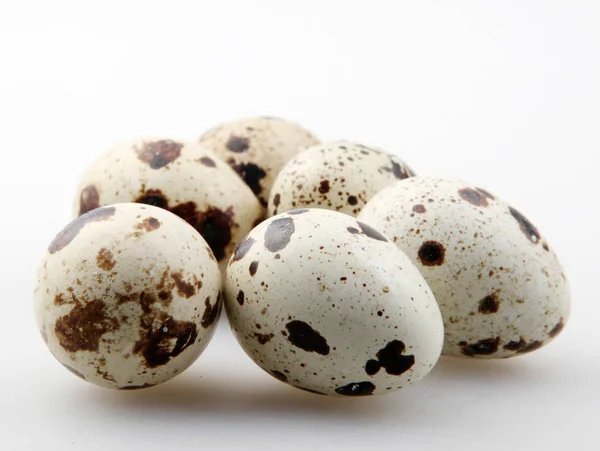 Ovos Codorna Isolados Sobre Fundo Branco — Fotografia de Stock