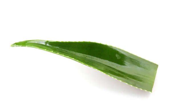 Planta Aloe Vera Isolada Sobre Fundo Branco — Fotografia de Stock