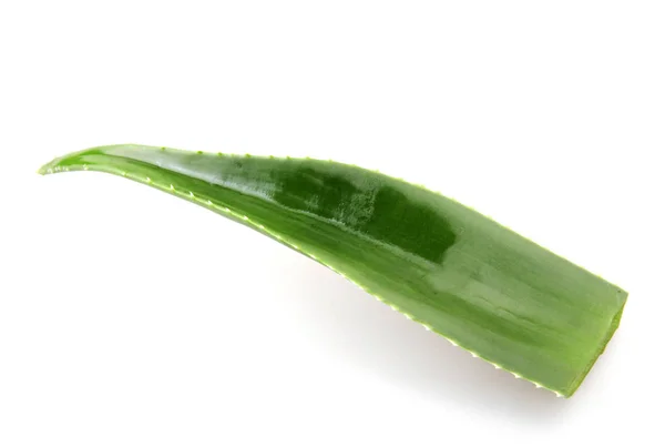 Φυτό Aloe Vera Απομονωμένο Λευκό Φόντο — Φωτογραφία Αρχείου