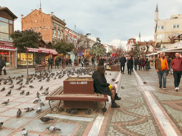 Edirne Turquie Février 2020 Edirne Anciennement Adrianople Hadrianople Ville Extrême — Photo