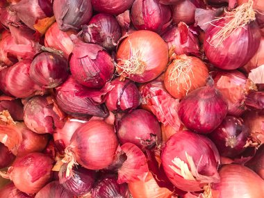 Kırmızı Soğanın Yakın Çekimi. Sağlıklı Taze Gıda Arkaplanı.