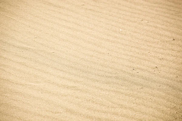砂の背景テクスチャの写真 — ストック写真