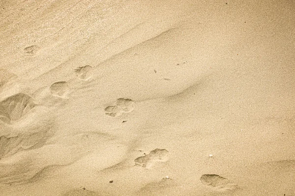 Foto Von Sand Hintergrund Textur — Stockfoto