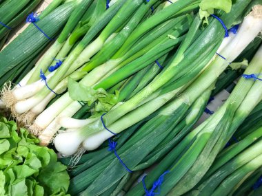 Yeşil soğan arkaplan fotoğrafı