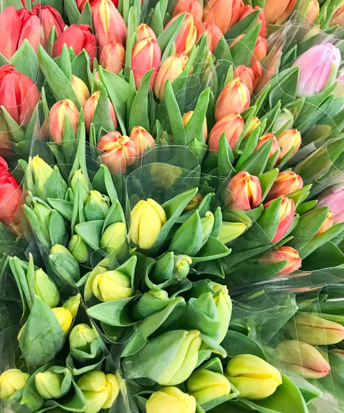 Kleurrijke Tulpen Koop Markt — Stockfoto