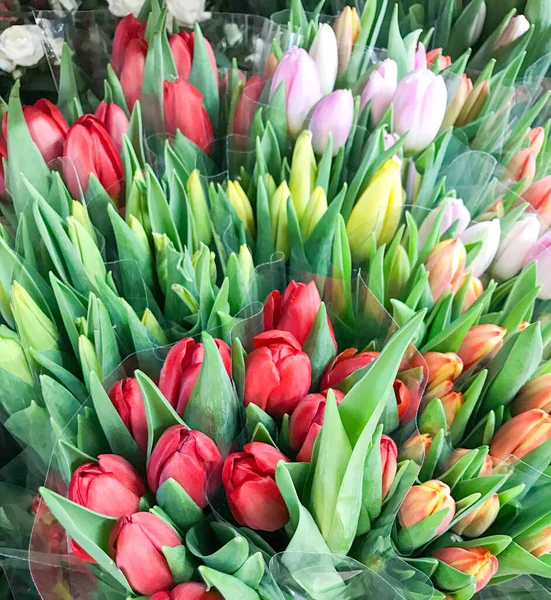 Kleurrijke Tulpen Koop Markt — Stockfoto