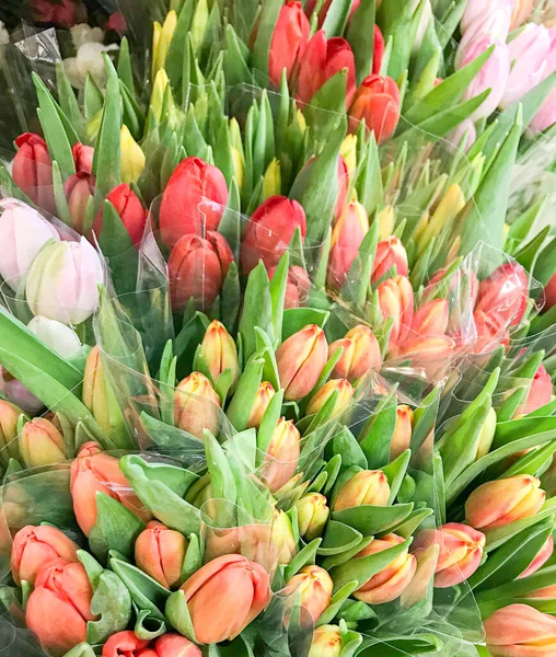 Kleurrijke Tulpen Koop Markt — Stockfoto