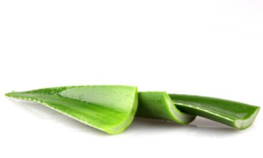 Aloe vera bitkisi beyaz arka planda izole edilmiş. Aloe vera, Aloe cinsinin sulu bir bitki türüdür. Tarım ve tıbbi kullanım için yetiştirilir.