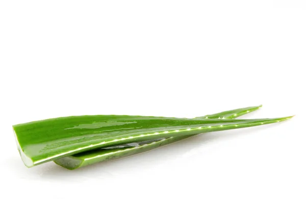 Aloe Vera Tanaman Terisolasi Pada Latar Belakang Putih Aloe Vera — Stok Foto