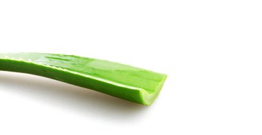 Aloe vera bitkisi beyaz arka planda izole edilmiş. Aloe vera, Aloe cinsinin sulu bir bitki türüdür. Tarım ve tıbbi kullanım için yetiştirilir.