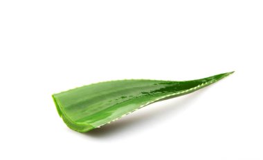 Aloe vera bitkisi beyaz arka planda izole edilmiş. Aloe vera, Aloe cinsinin sulu bir bitki türüdür. Tarım ve tıbbi kullanım için yetiştirilir.