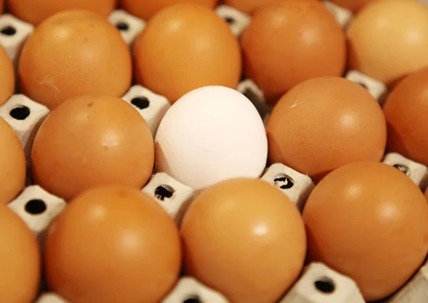 Farm Fresh Shell Eggs Sale Market — Stock Photo, Image