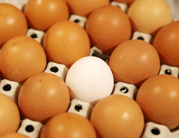 Farm Fresh Shell Eggs Sale Market — Stock Photo, Image