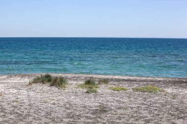 Sahil ve Deniz Parlak Günışığında