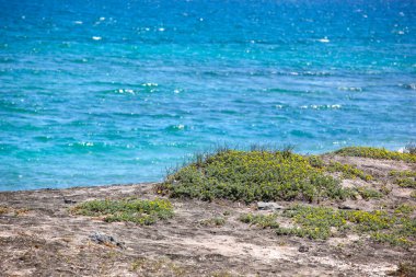Sahil ve Deniz Parlak Günışığında