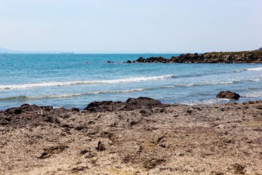 Sahil ve Deniz Parlak Günışığında