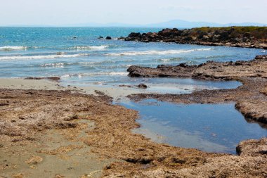 Sahil ve Deniz Parlak Günışığında