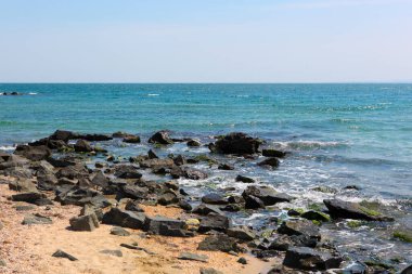 Sahil ve Deniz Parlak Günışığında