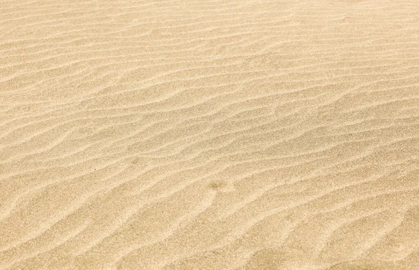 沙地背景结构的特写 — 图库照片