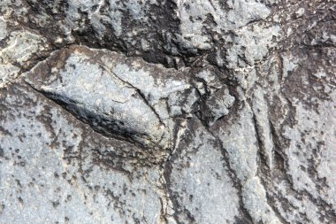 İlkbaharda yumuşak güneş ışığında taş dokusu