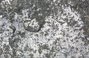 İlkbaharda yumuşak güneş ışığında taş dokusu