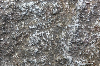 İlkbaharda yumuşak güneş ışığında taş dokusu