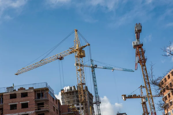 Building tower cranes — Stock Photo, Image