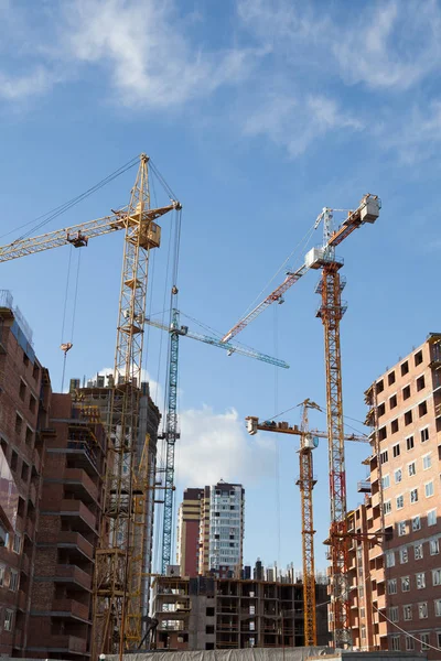 Building tower cranes — Stock Photo, Image