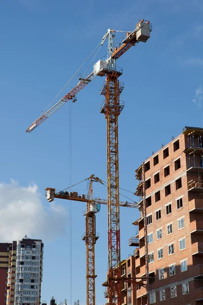 Building tower cranes — Stock Photo, Image