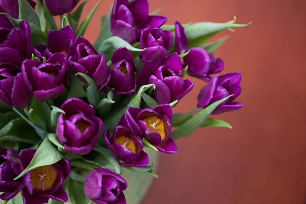 Tulipanes Imagen De Stock