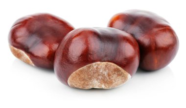 Beyaz üzerine üç kestane