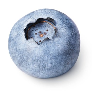 yaban mersini berry üzerinde beyaz izole