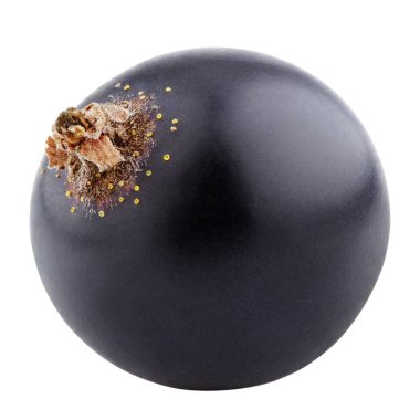 Beyaz üstüne siyah Frenk üzümü berry