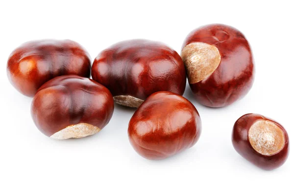 Group of chestnuts on white — Stock Photo, Image