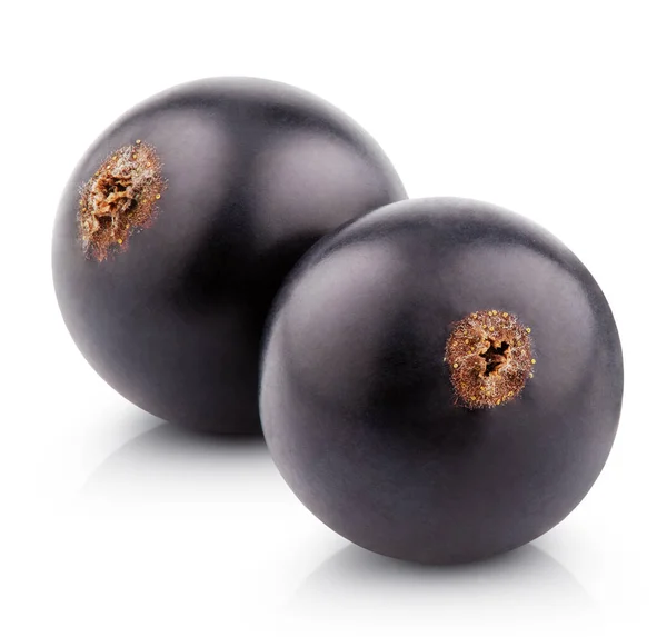 Пара черных смородиновых ягод на белом — стоковое фото
