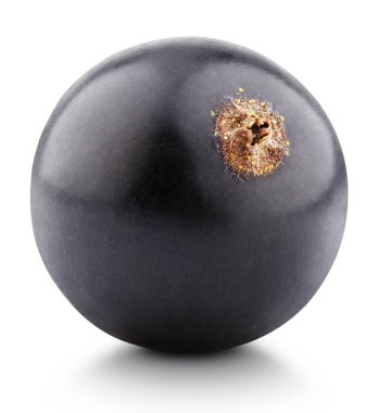 Beyaz üstüne siyah Frenk üzümü berry