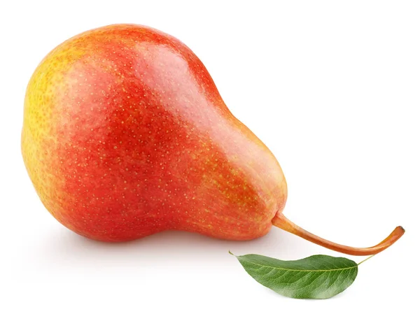 Única fruta doce pêra vermelha — Fotografia de Stock