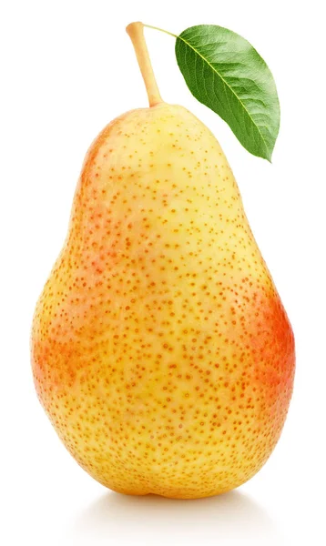 Single sweet red pear fruit — Stock Photo, Image