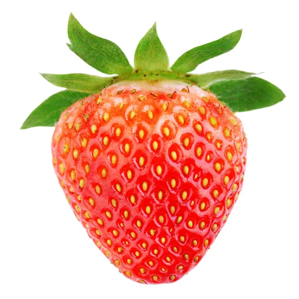 Single strawberry fruit — Stock Photo, Image