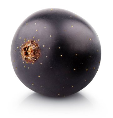 Beyaz üstüne siyah Frenk üzümü berry