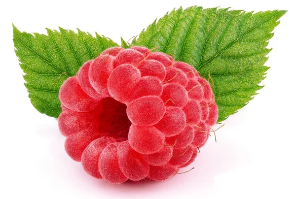 Jediného malinový ovoce se zelenými listy izolované na bílém — Stock fotografie