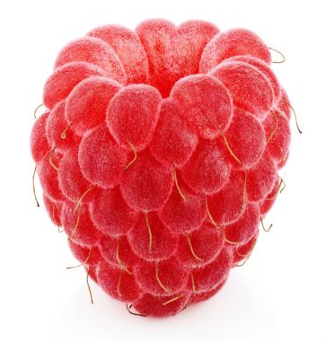 Beyaz izole tek ahududu meyve