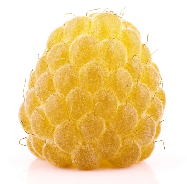 Framboesa amarela única fruta isolada no branco — Fotografia de Stock
