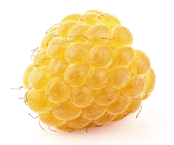 Single yellow raspberry fruit isolated on white — Stock Photo, Image