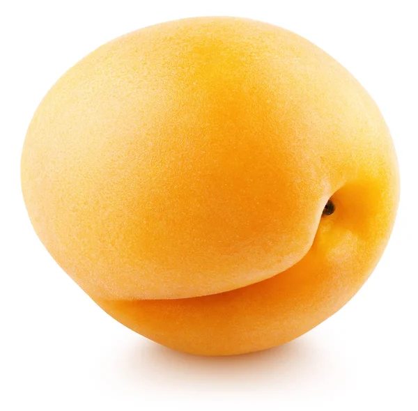 Enstaka hela aprikoser eller plommon isolerade på vitt — Stockfoto