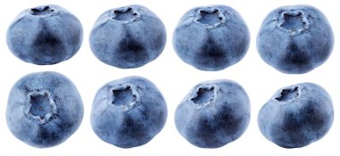 Collection of blueberry berry isolated on white background. Blueberry berry set with clipping path. Full depth of field. clipart
